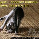 ���� ������, ���������, 56 ��� - ��������� 25 ������� 2014 � ������ ���� ����������