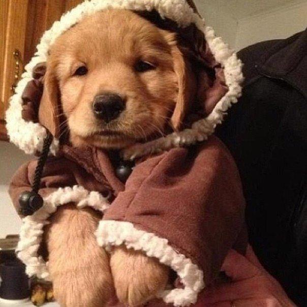    - 7  2014  15:11 - 4