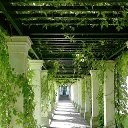 ���� ������, �����-���������, 27 ��� - ��������� 11 ������ 2014 � ������ ������������.�