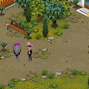 ���� Homa, �������� - ��������� 26 ������� 2014 � ������ �Tropikania�