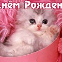 ���� ����, �����, 38 ��� - ��������� 30 ������ 2014 � ������ ������ ��������