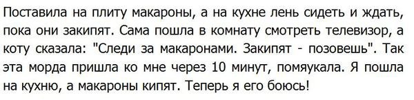 MDK - 10  2014  17:57