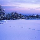 ���� �����, ������, 52 ���� - ��������� 11 ������� 2014 � ������ ������� �����