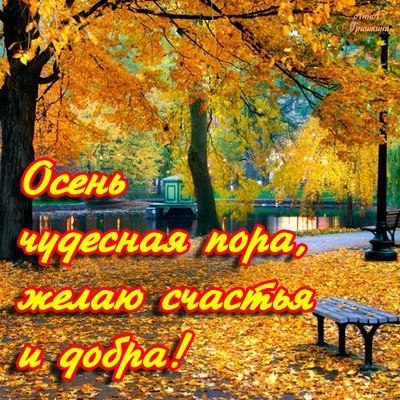 � ���� ������� �������, � ���������� � � ����. � ����� ������ ������ �� ������� ����� ���. ��� ...