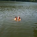 ���� Volter, �������� - ��������� 24 ������� 2014 � ������ ���� ����������