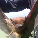 ���� �������, ���������, 59 ��� - ��������� 23 ������� 2014