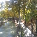  **,  -  8  2014     ))))