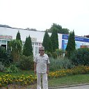  , -, 66  -  31  2014       (   )