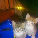 �������� � �������� 2014�. �� ������� ���� ����������