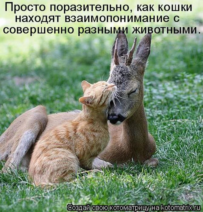 ������ - 12 ������� 2014 � 16:45