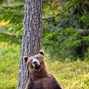 �����,�������. �� ������� ���� ����������