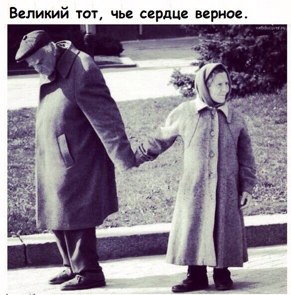  |  |  - 29  2014  18:39