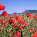  ,  -  7  2014    )))