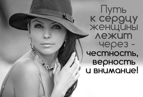   -  ,  -  - 11  2014  20:04
