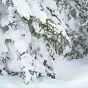 ���� ��������, ����, 50 ��� - ��������� 6 ������ 2014 � ������ �������� ������