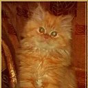 ���� �������, ���� - ��������� 23 ������� 2014 � ������ ���� ����� �����)))�