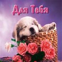 ���� Anika, ������ - ��������� 16 ������ 2014 � ������ ������ ��������