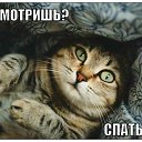 ���� ������, ������, 32 ���� - ��������� 28 �������� 2014 � ������ ������ ��������
