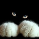 ���� ������, ������� - ��������� 20 ������� 2014 � ������ ���� ����������