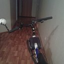 ���� �������, ������������, 51 ��� - ��������� 10 ������� 2014 � ������ ������ ��������