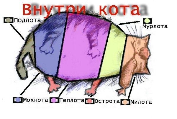       - 23  2014  20:05