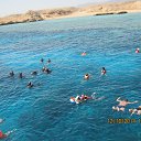 ���� �������, �����-���������, 68 ��� - ��������� 29 ������� 2014 � ������ ���� ����������