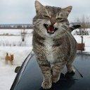 ���� ����, �����, 25 ��� - ��������� 5 ������� 2014 � ������ ���� ����������