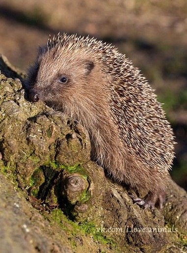   - 16  2014  14:47 - 5