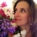 ���� ������, ����������, 49 ��� - ��������� 11 ������� 2014