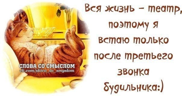 Вставай ну пожалуйста будильник. Вставай будильник звонит. Будильник звонит я перезвоню. Вставай будильник звонит скажите я перезвоню. Звонит будильник утро я перезвоню.