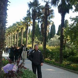 ��������, ������������