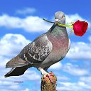 ���� Guram, ������� - ��������� 26 ������ 2014 � ������ ������ ��������