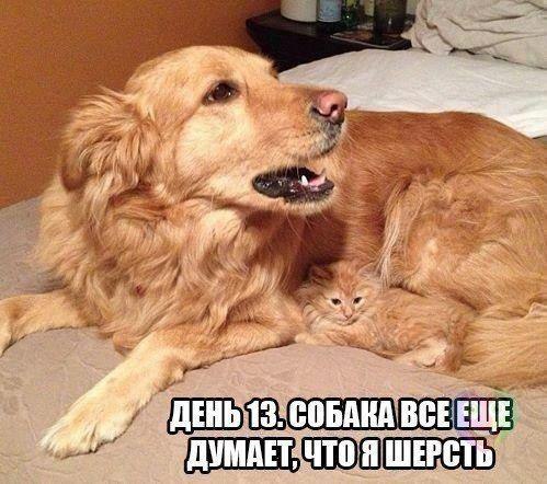 Art & Fun - 18  2014  12:42