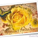 ���� ��������, ���������, 44 ���� - ��������� 8 ������ 2014 � ������ ������ ��������
