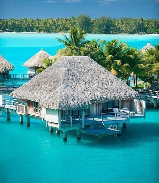   :;-).http://fotostrana.ru/public/233467 Over the Water Bungalow, Bora Bora