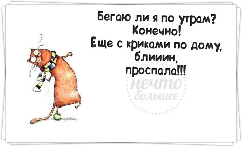   - 5  2014  08:29