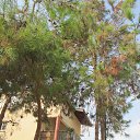 ���� �����, ������ - ��������� 4 �������� 2014 � ������ �CYPRUS�