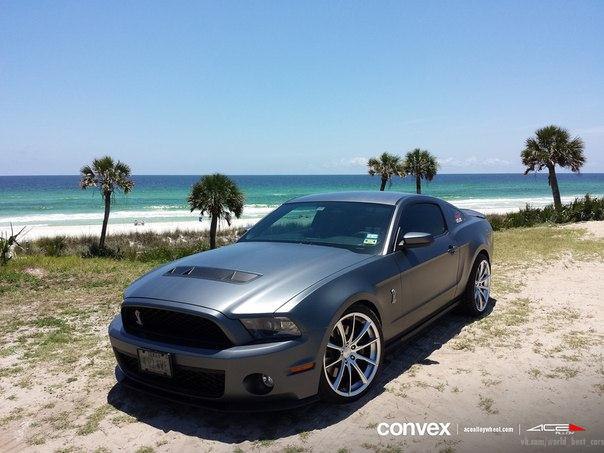 Shelby GT500 on ACE ALLOY Convex Wheels. - 2