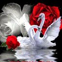  ,   -  12  2014    Ż