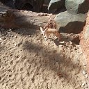 ���� ����, �����������, 61 ��� - ��������� 19 ������� 2014 � ������ ������ (����, �����, �. ��������)�