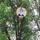  , , 33  -  8  2014   ................