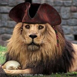 Aleks Leo, ��������, 49 ���
