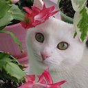 ��� ���. �� ������� ���� ����������