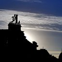 ���� ���������, ������ - ��������� 8 ������� 2014 � ������ ��������