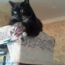  Elenka))) 219,  -  11  2014    -  .