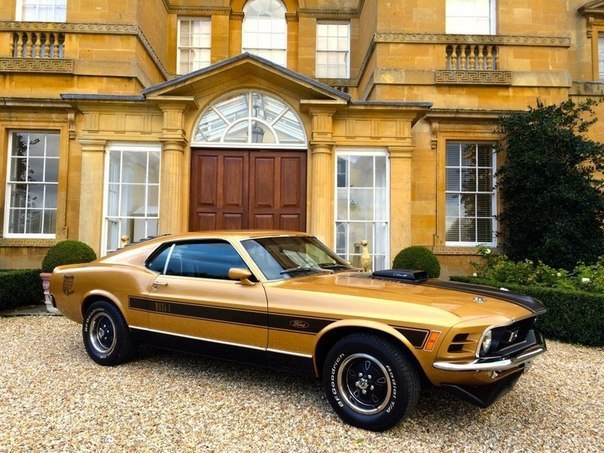 1970 Ford Mustang Mach 1 - 3