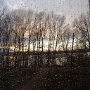 ���� �������, ����������� - ��������� 29 ������� 2014 � ������ ���� ����������