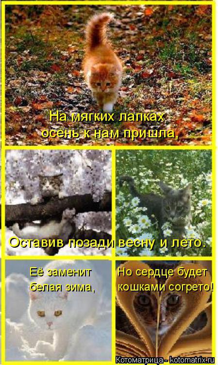 /zev/null - 22  2014  18:53