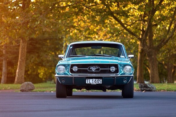 Ford Mustang - 8