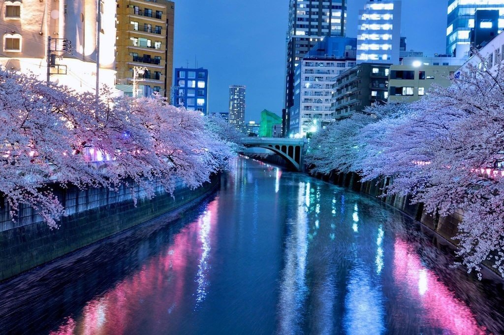   , .#@travel.blog